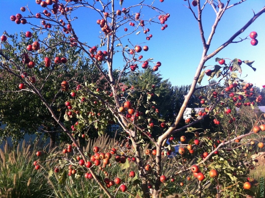 2013-09-14 164553.jpg