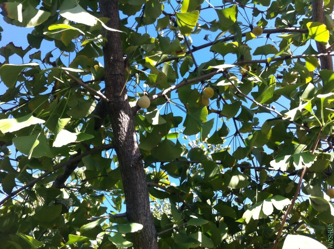 2013-09-14 153615.jpg