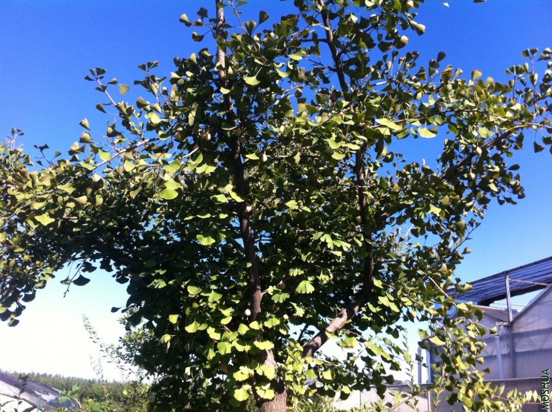 2013-09-14 153605.jpg