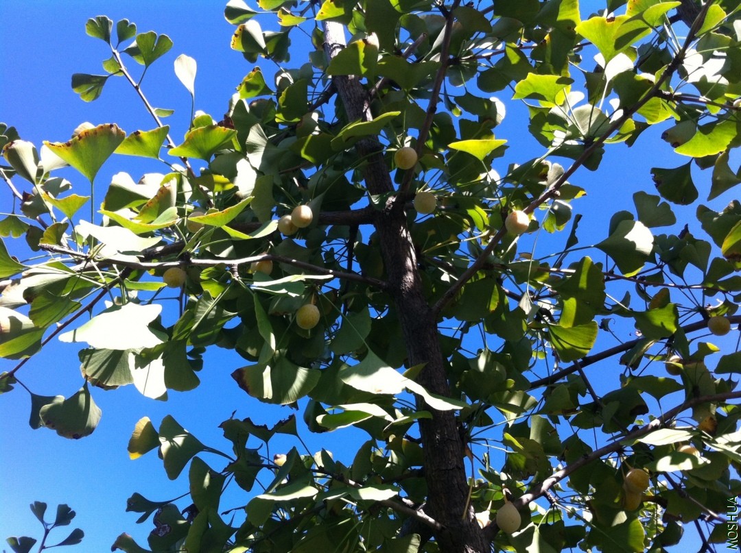 2013-09-14 153618.jpg
