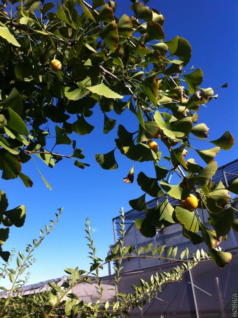 2013-09-14 153628.jpg