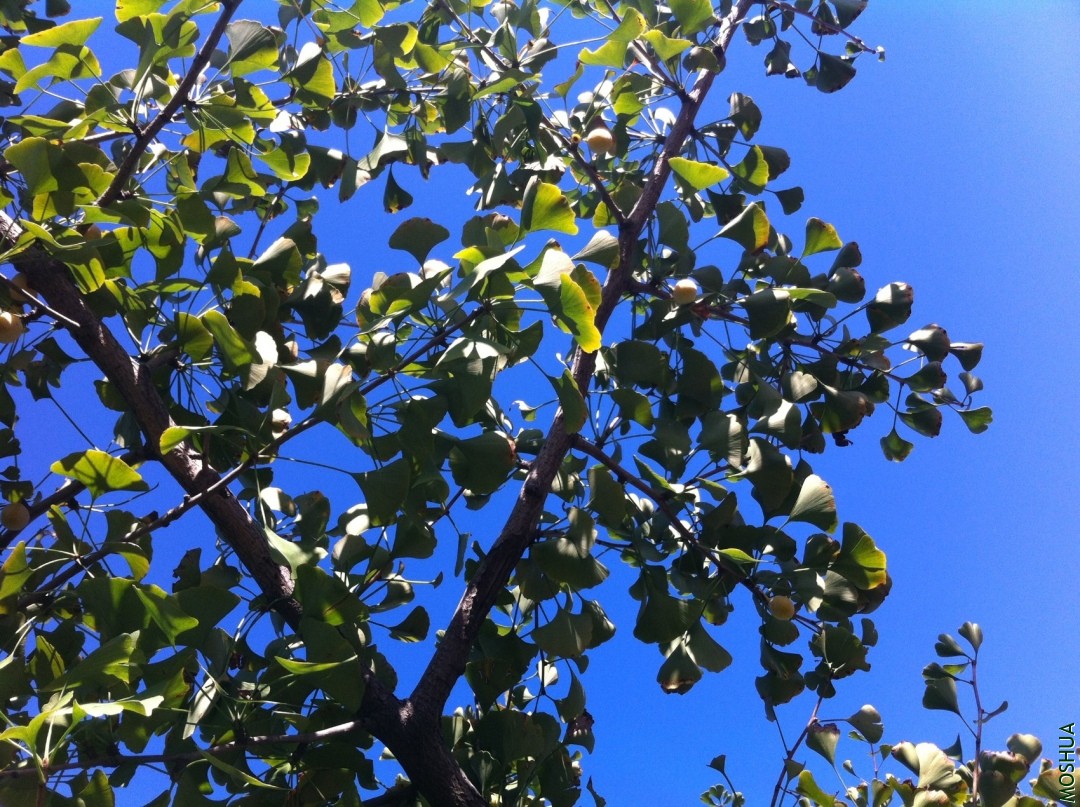 2013-09-14 153631.jpg