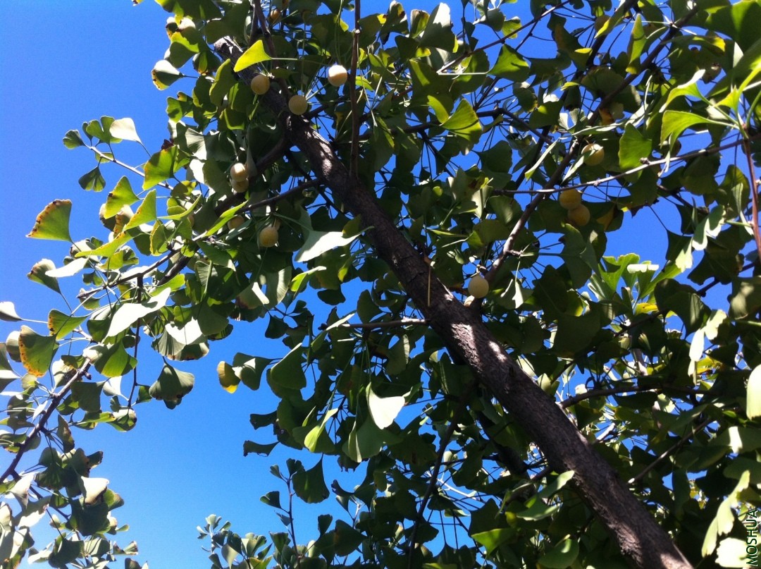2013-09-14 153635.jpg