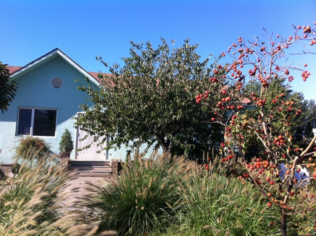 2013-09-14 153647.jpg