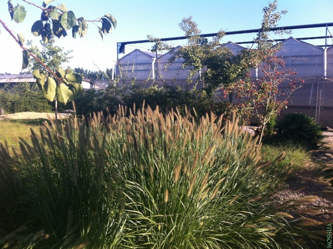 2013-09-14 164504.jpg