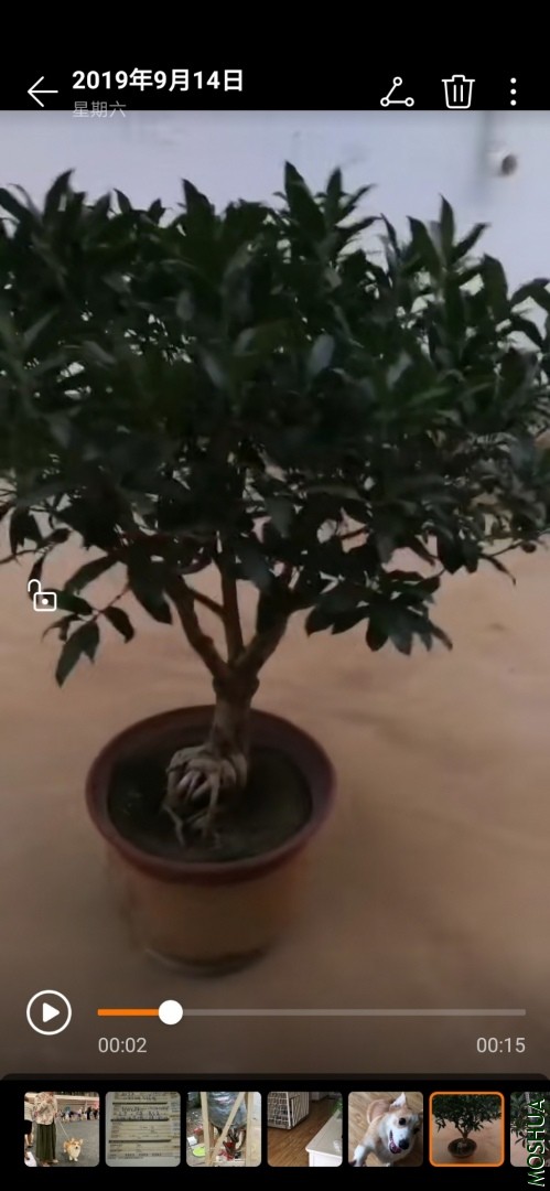 Screenshot_20190922_113405_com.huawei.himovie.jpg