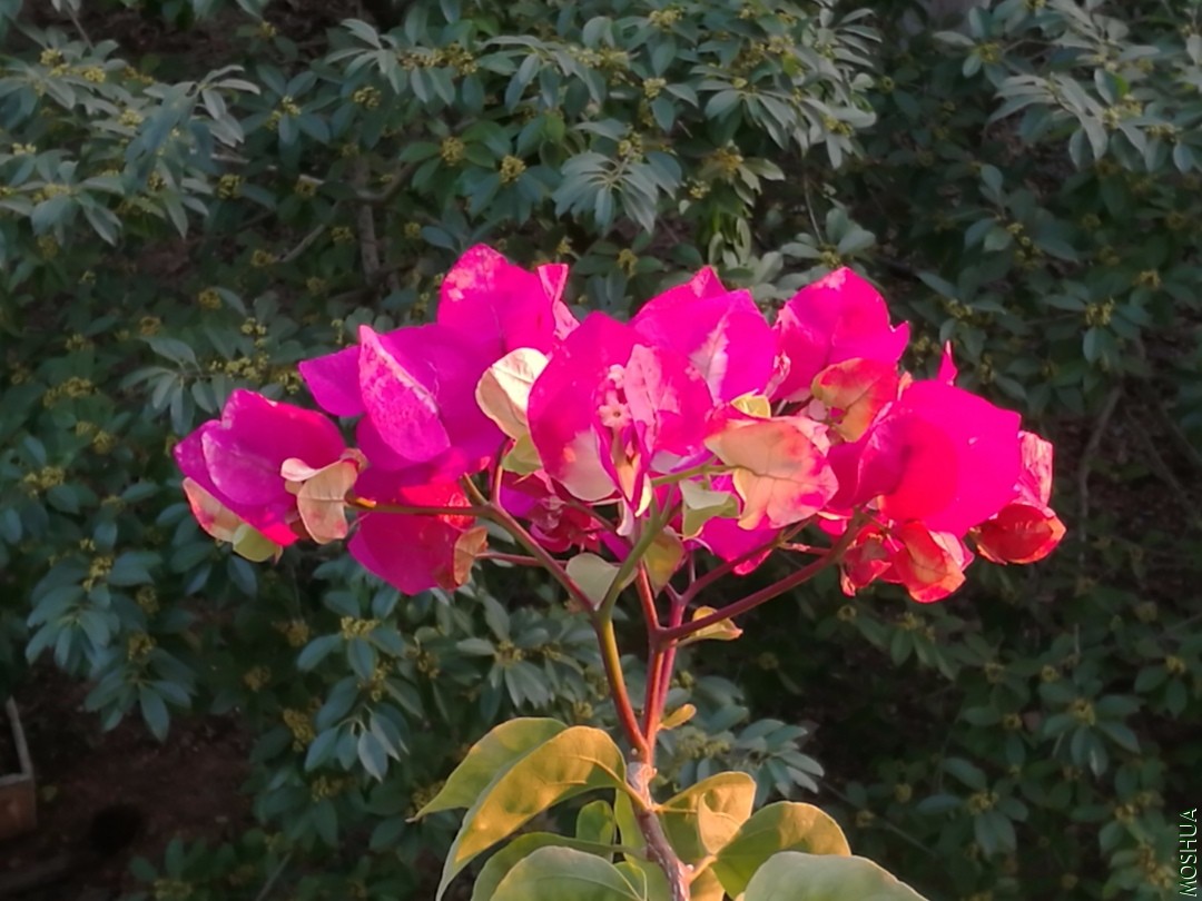 IMG_20190923_175649.jpg