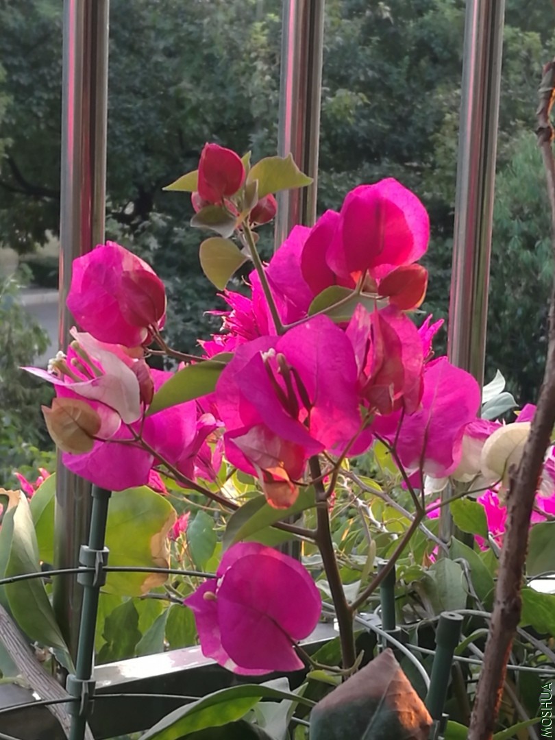 IMG_20190923_175756.jpg