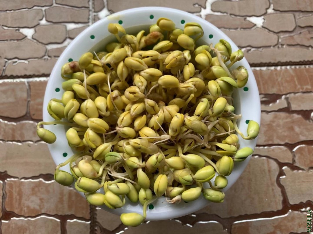 ΢��ͼƬ_20190924095925.jpg