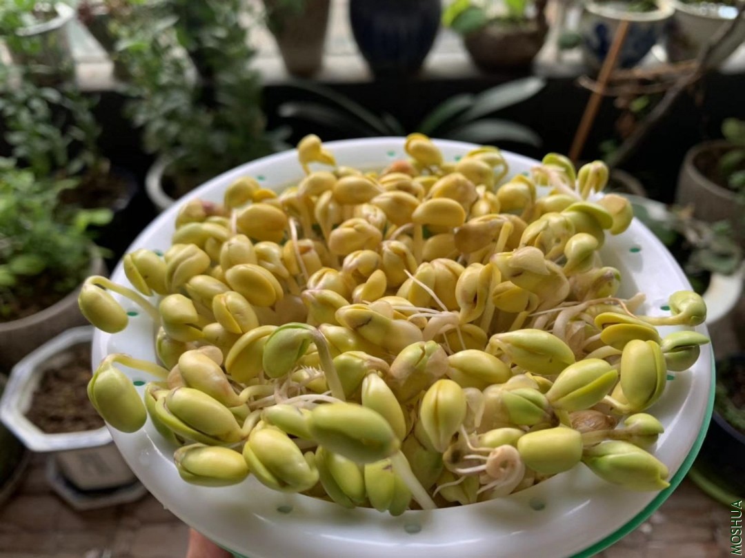 ΢��ͼƬ_20190924095928.jpg