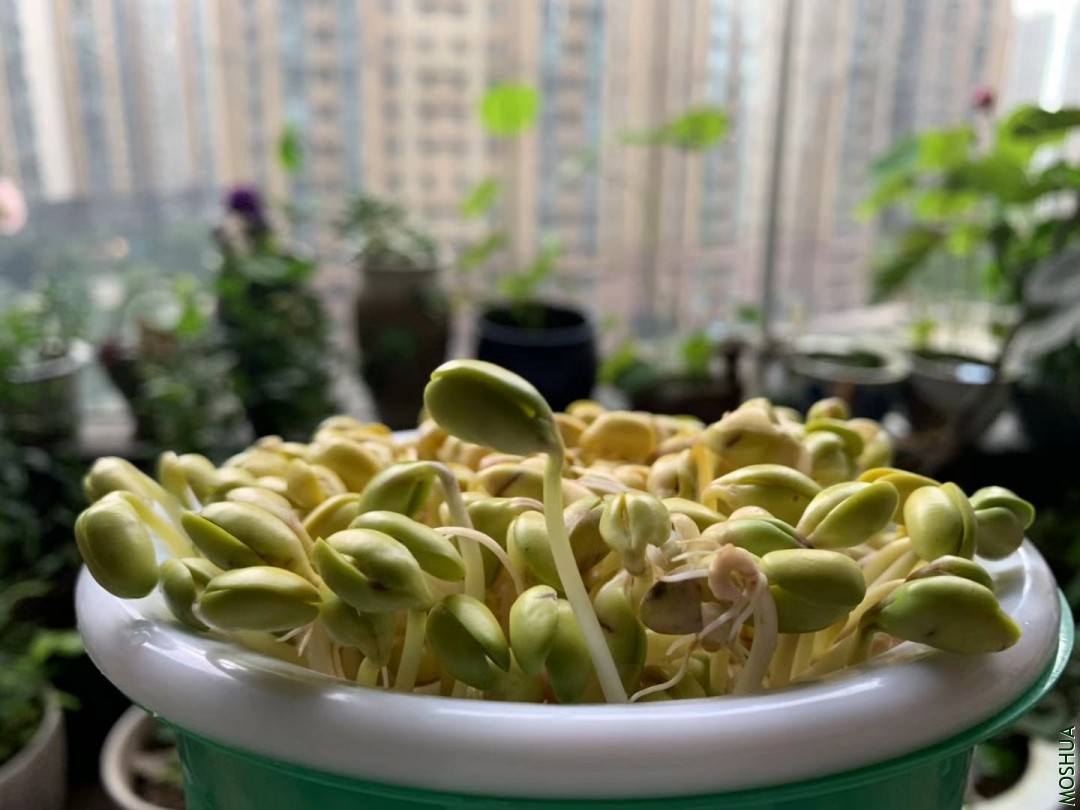 ΢��ͼƬ_20190924095932.jpg