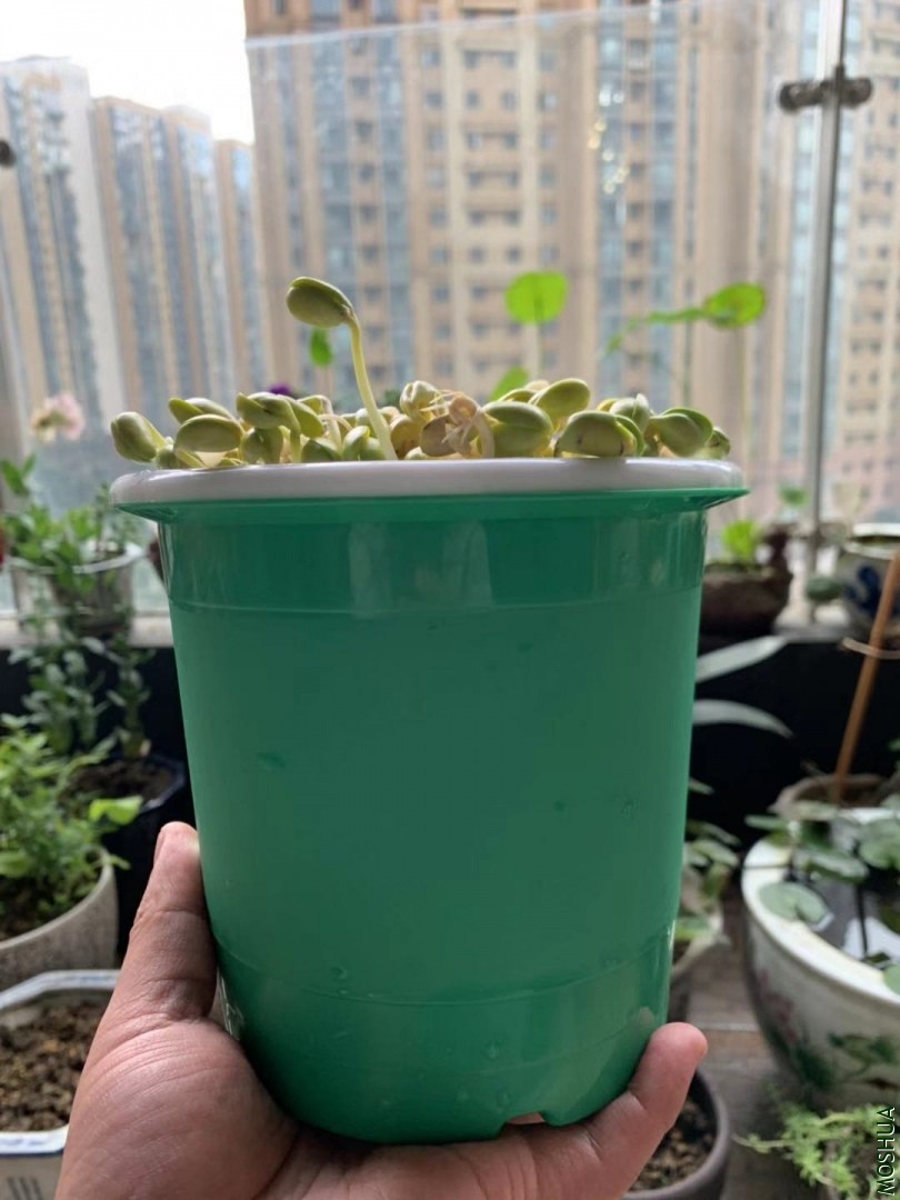 ΢��ͼƬ_20190924095935.jpg