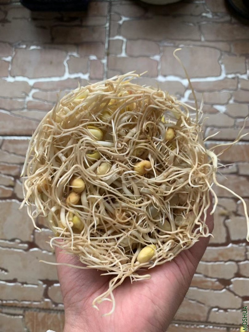 ΢��ͼƬ_20190924095943.jpg