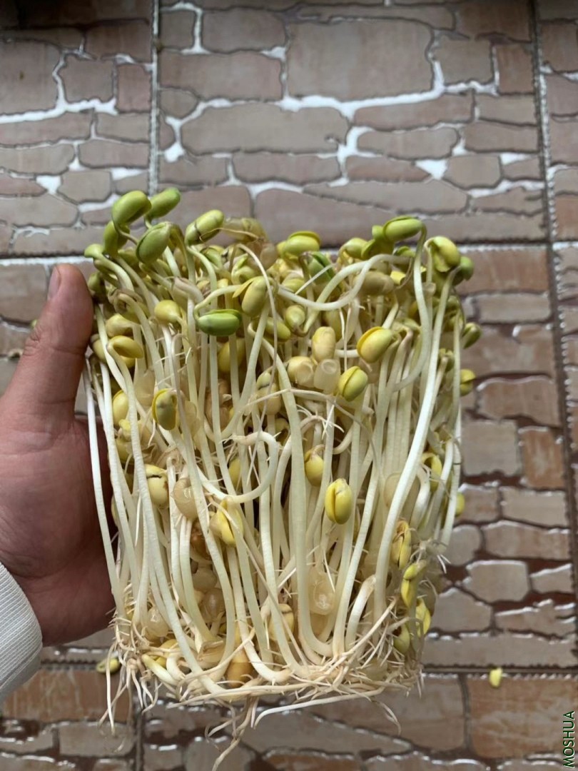΢��ͼƬ_20190924095946.jpg