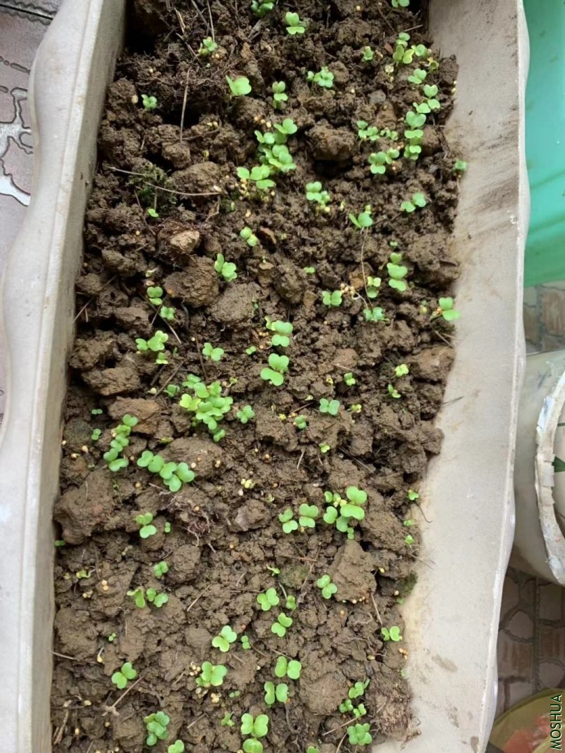 ΢��ͼƬ_20190925081319.jpg