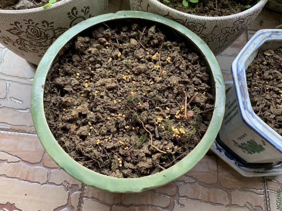 ΢��ͼƬ_20190925081327.jpg
