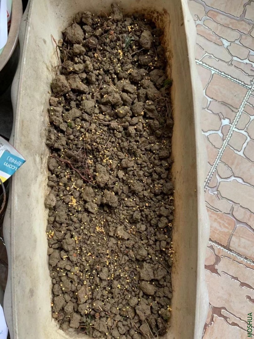 ΢��ͼƬ_20190925081335.jpg