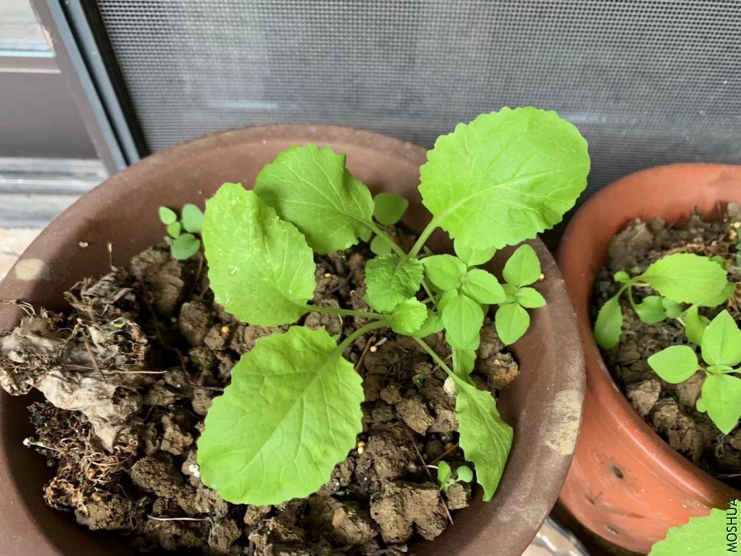 ΢��ͼƬ_20190925081340.jpg