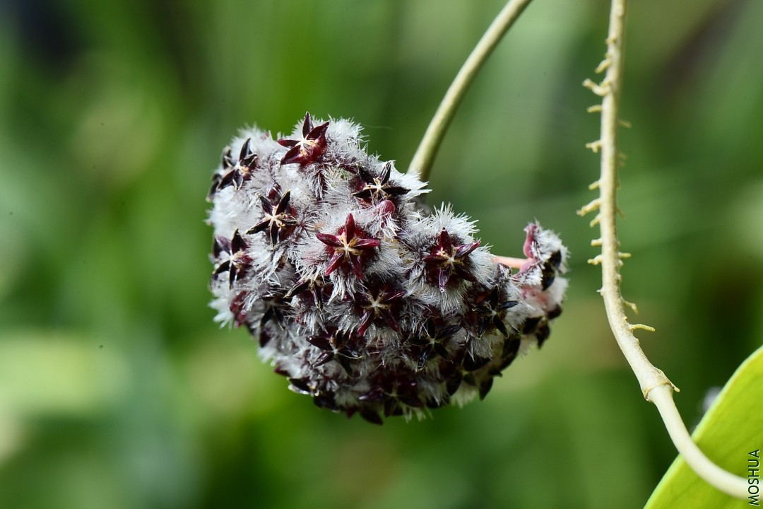 DSC_2404.JPG