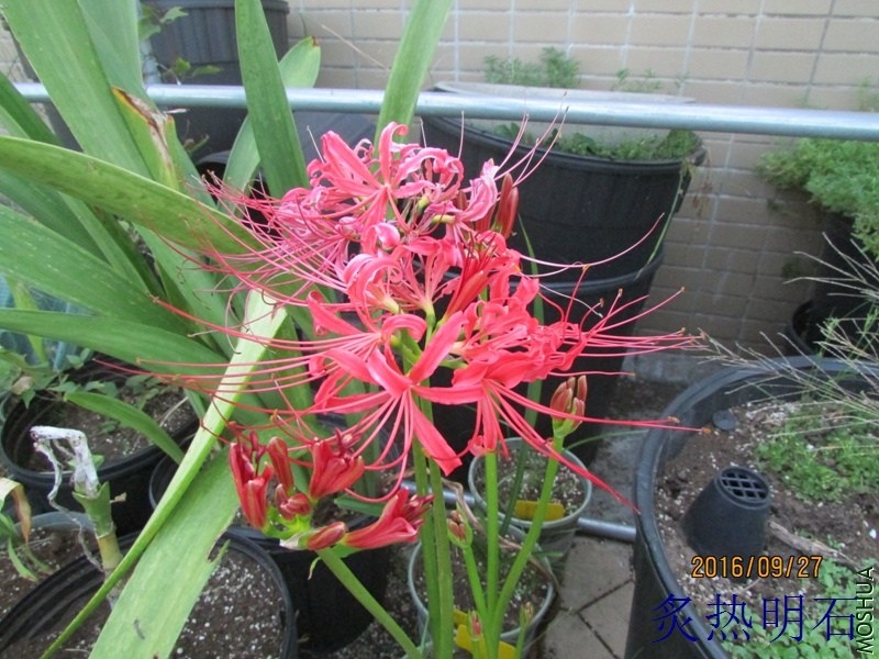 IMG_69164.jpg