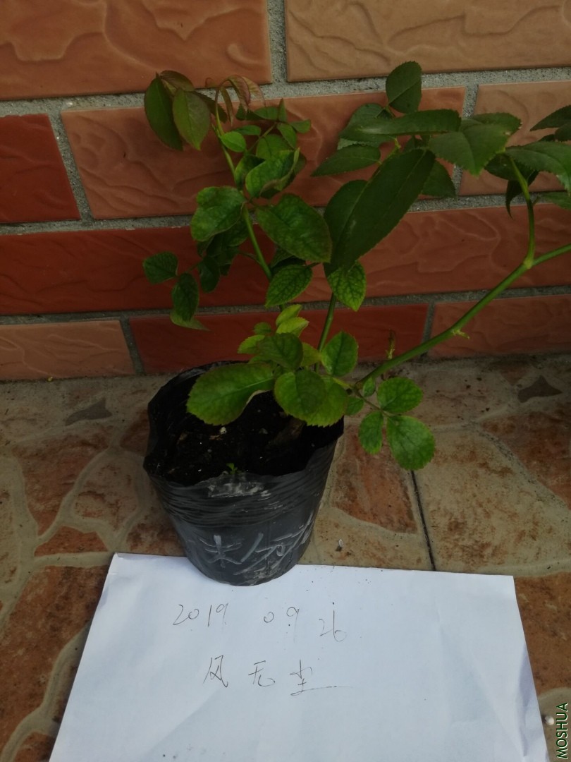 QQͼƬ20190926084439.jpg