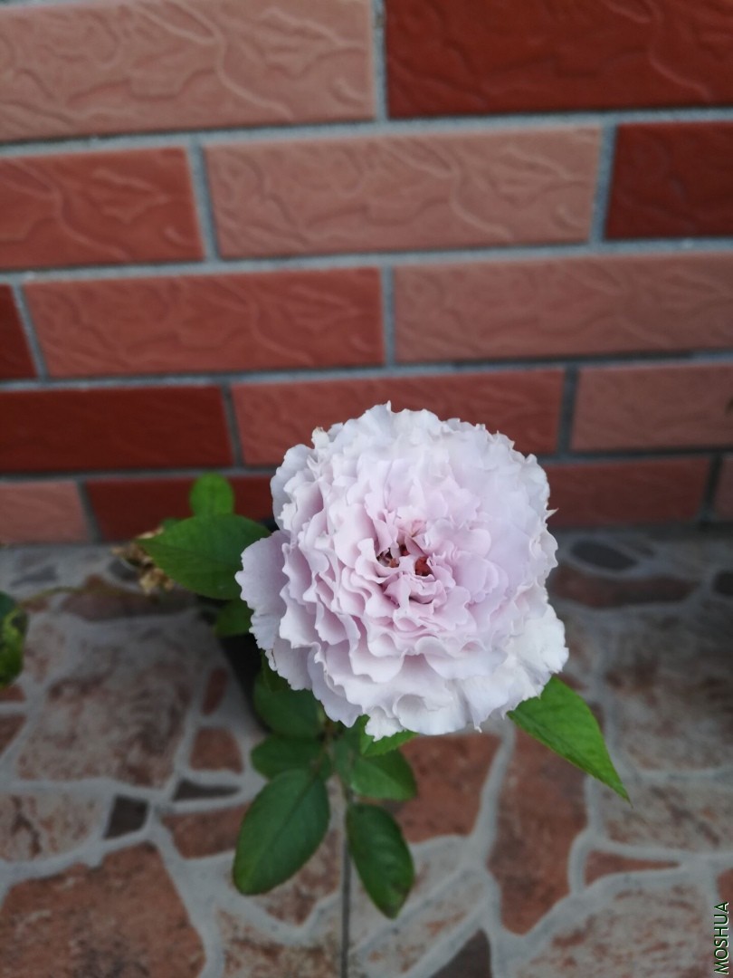 QQͼƬ20190926084458.jpg