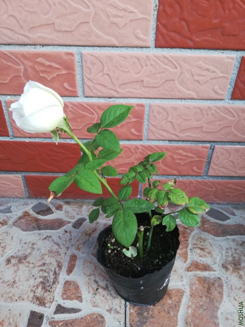 QQͼƬ20190926084507.jpg