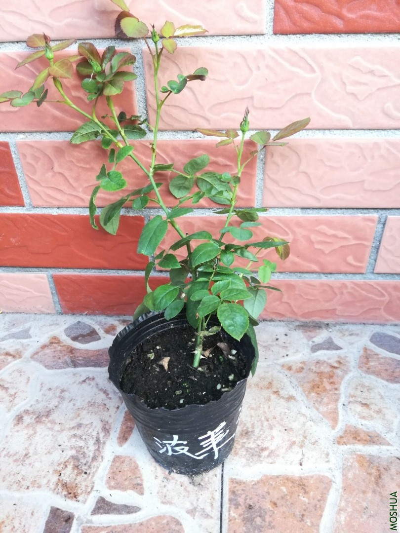 QQͼƬ20190926084513.jpg