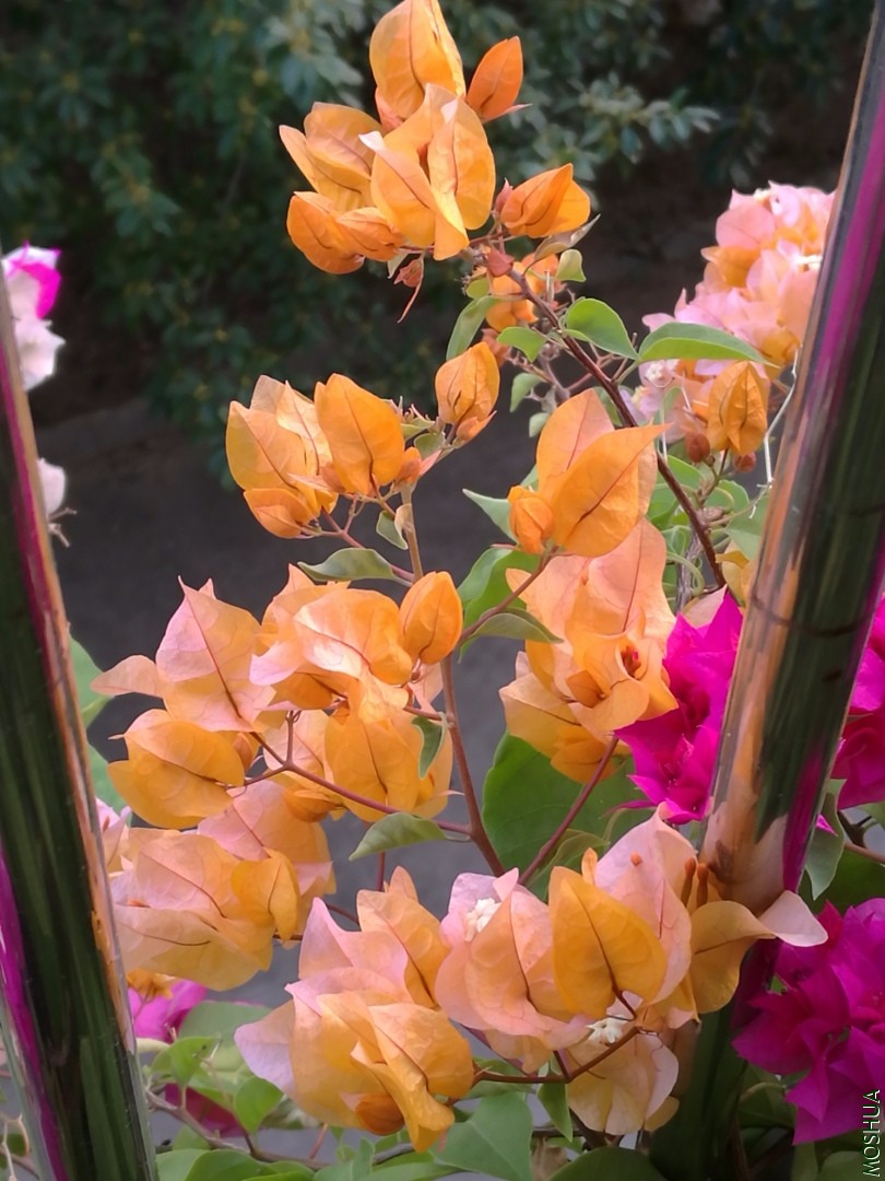 IMG_20190923_180300.jpg