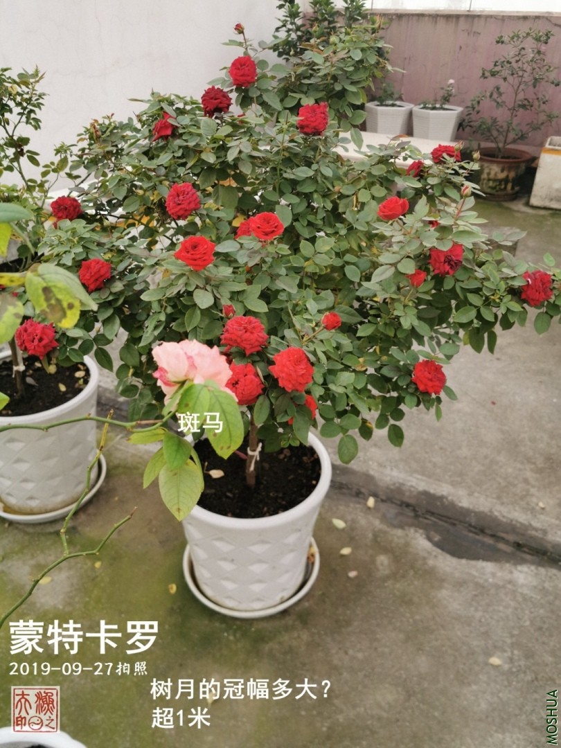 A01.jpg