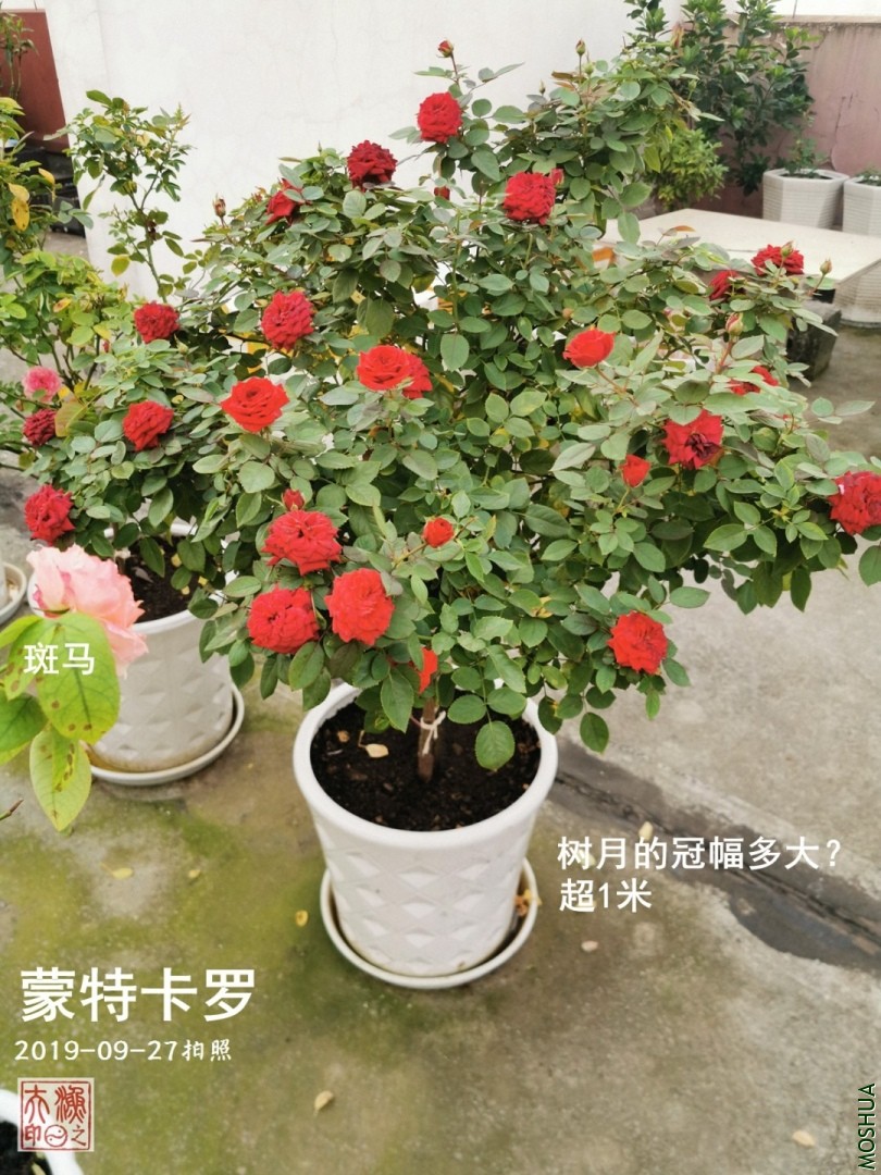 A02.jpg