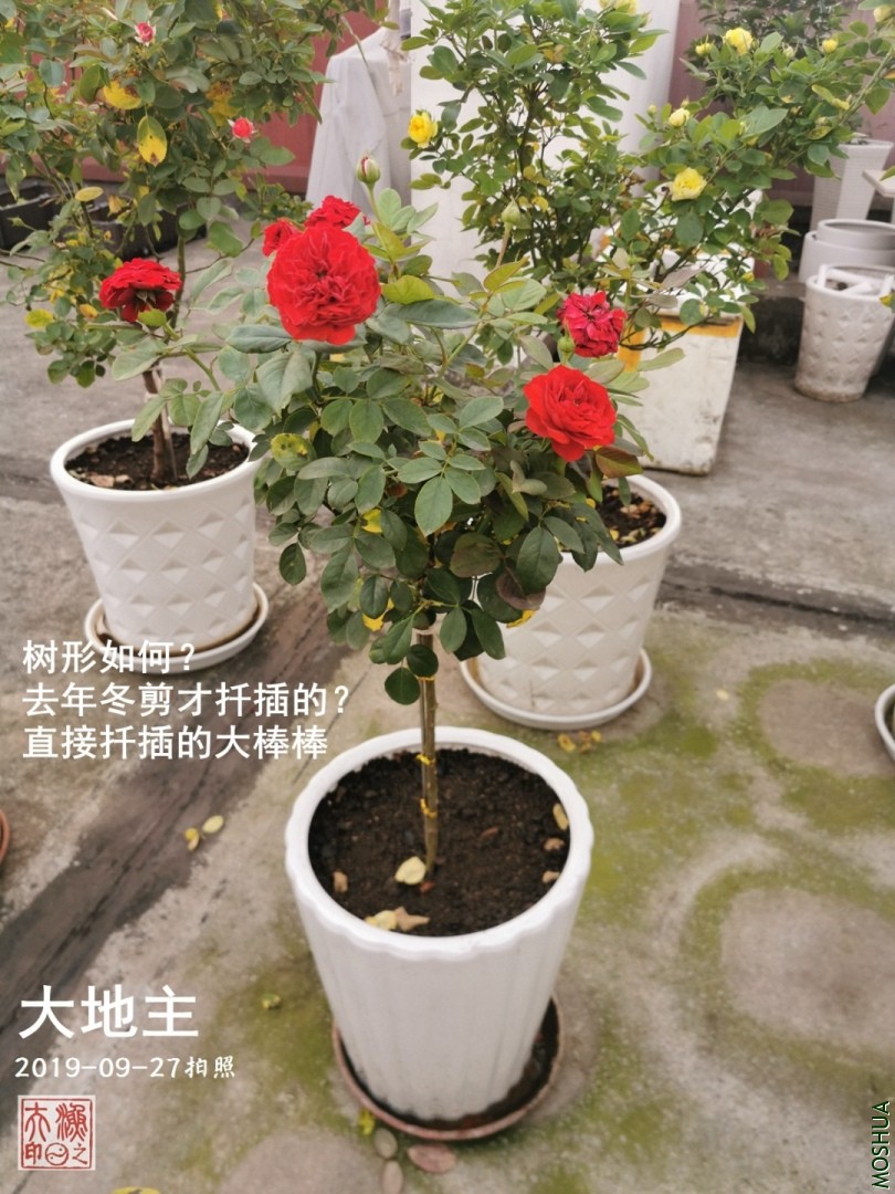 B02.jpg