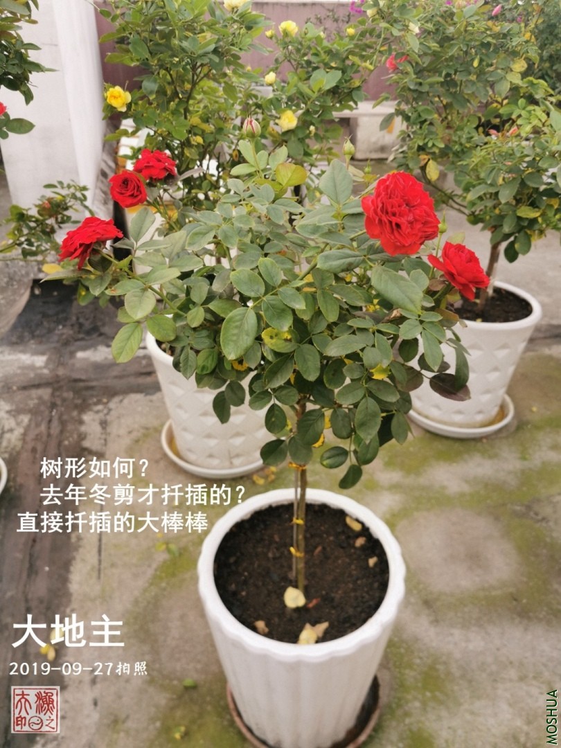B03.jpg
