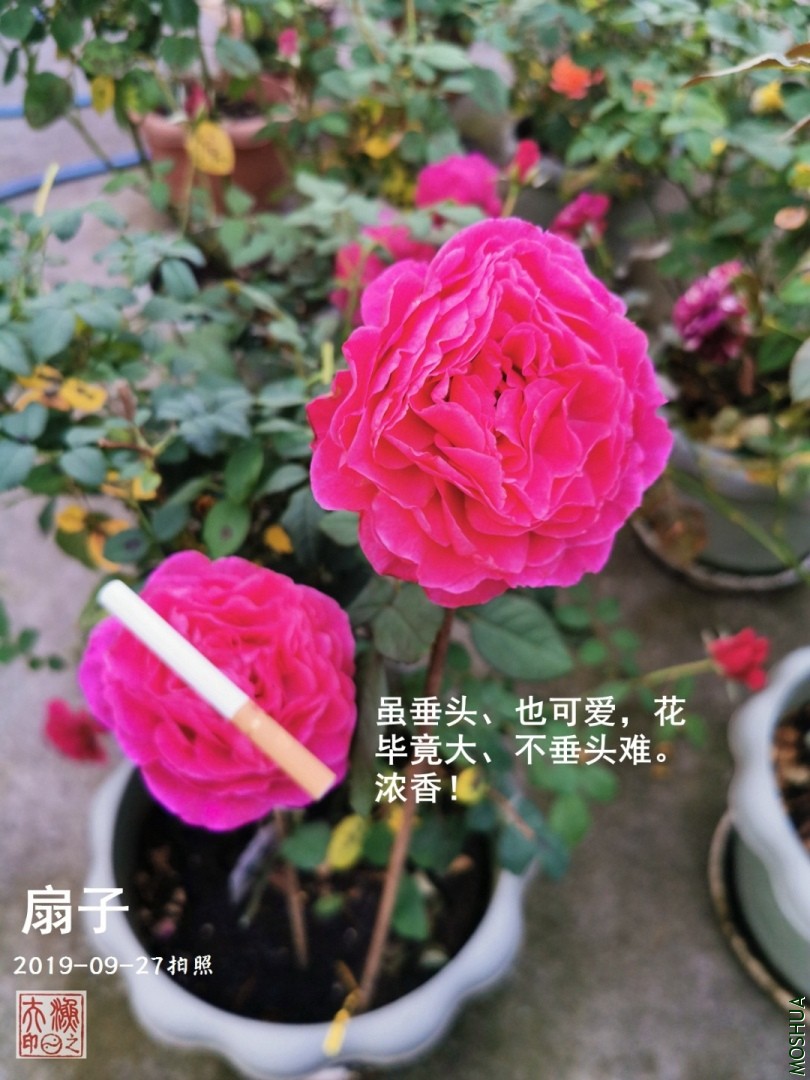 D01.jpg