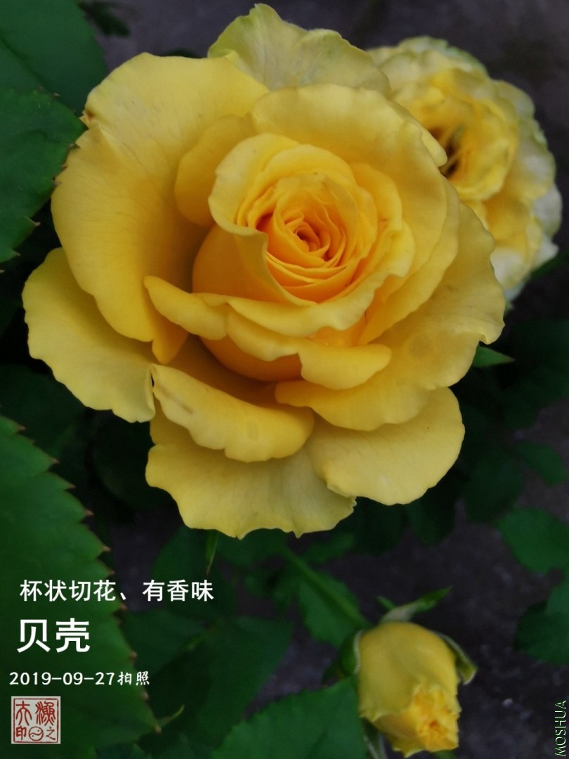 C03.jpg