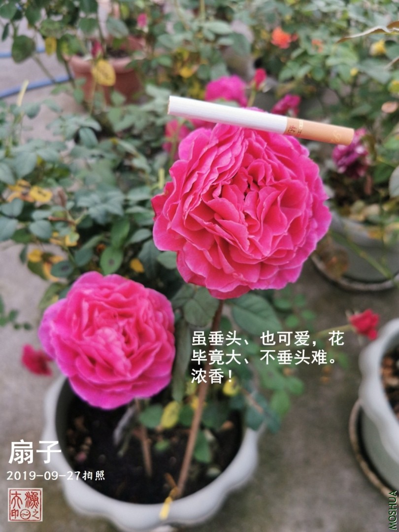 D02.jpg