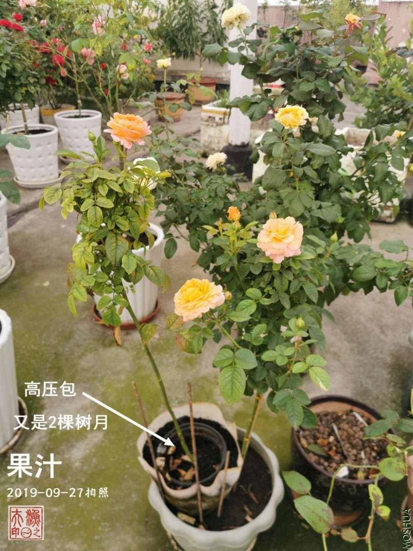 E01.jpg
