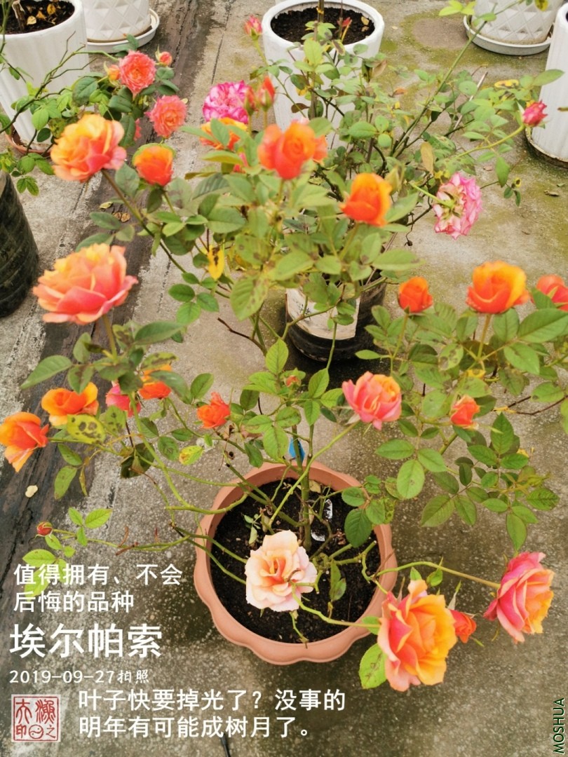 F01.jpg