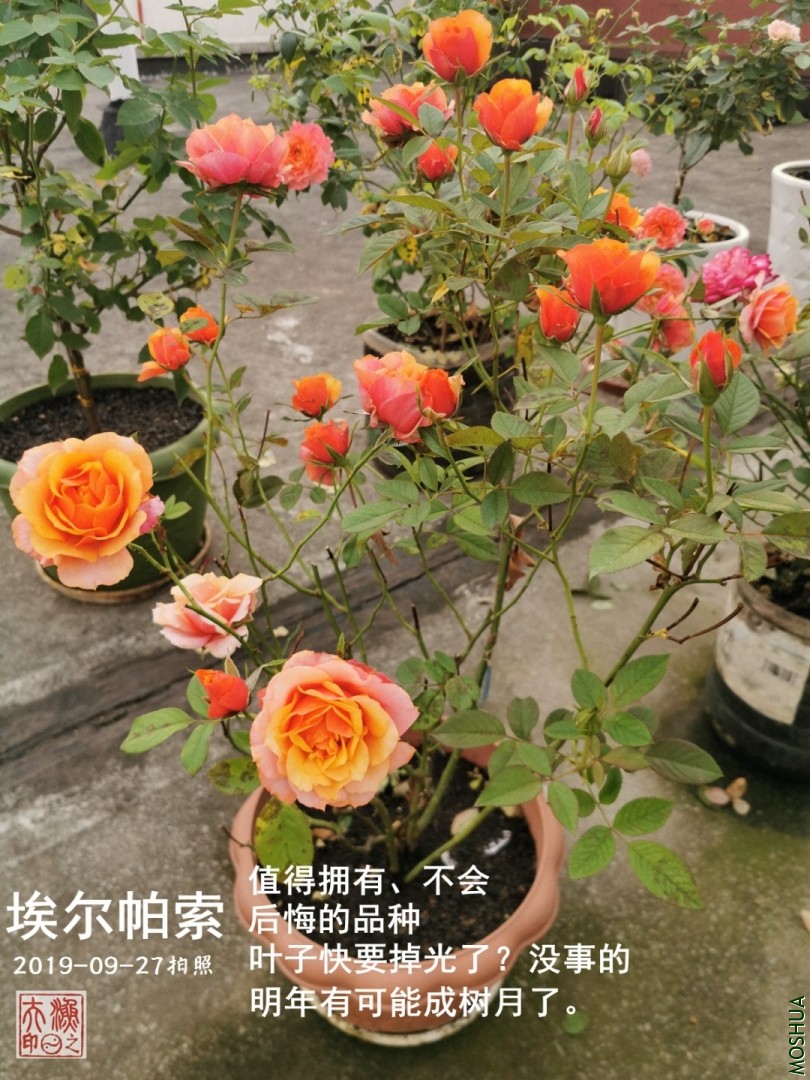 F02.jpg