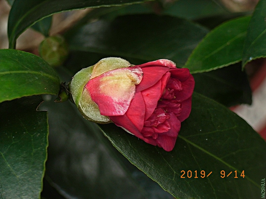 1627A-190914-A1.jpg