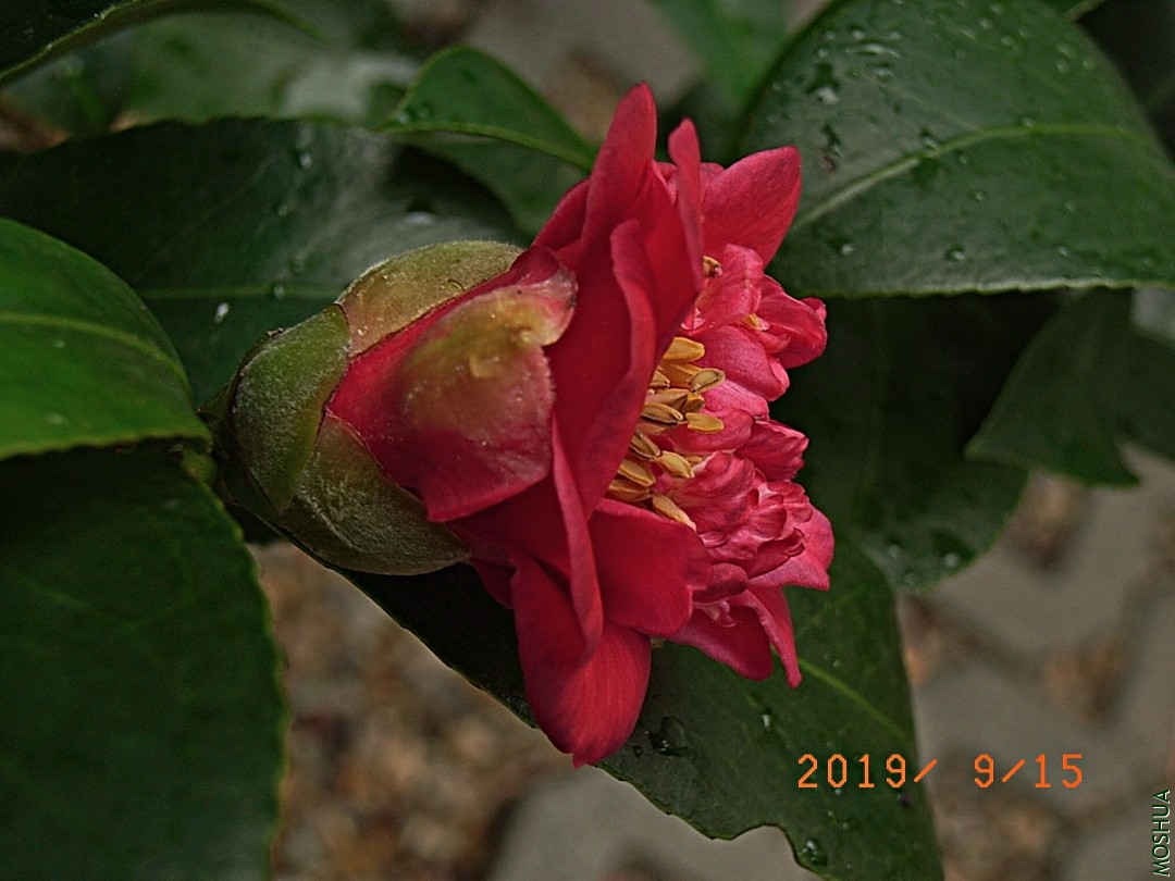 1627A-190914-B1.jpg