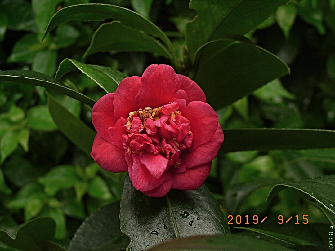 1627A-190914-B2.jpg