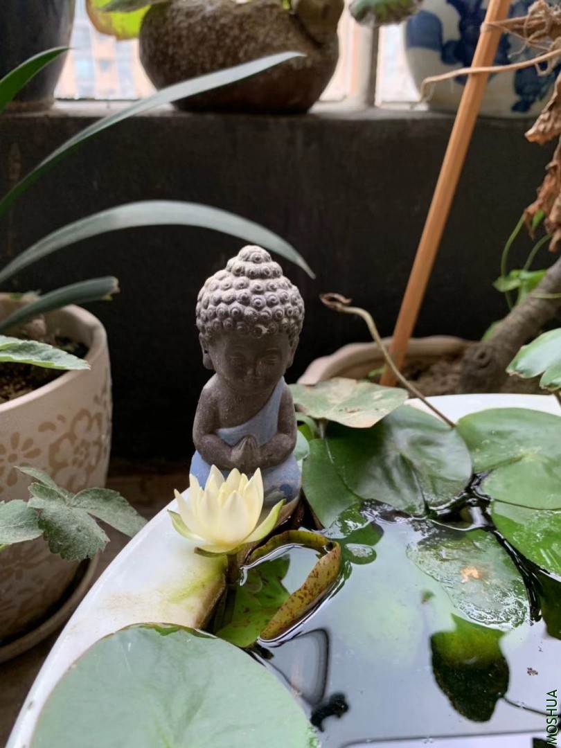 ΢��ͼƬ_20190928105552.jpg
