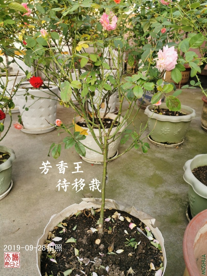 A02.jpg