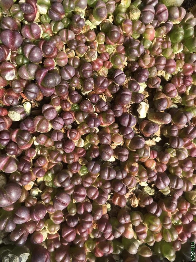΢��ͼƬ_20190928225218.jpg