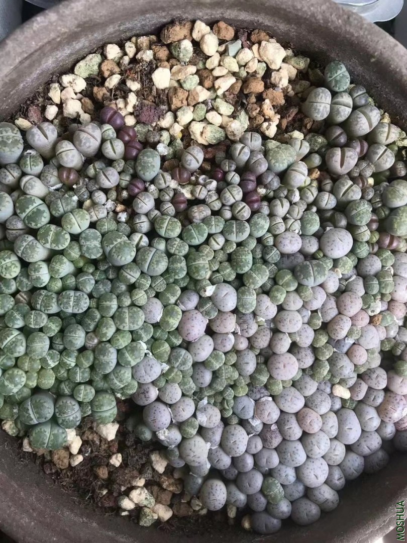 ΢��ͼƬ_20190928225212.jpg