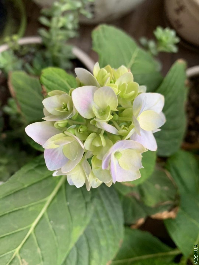 ΢��ͼƬ_20190929130945.jpg