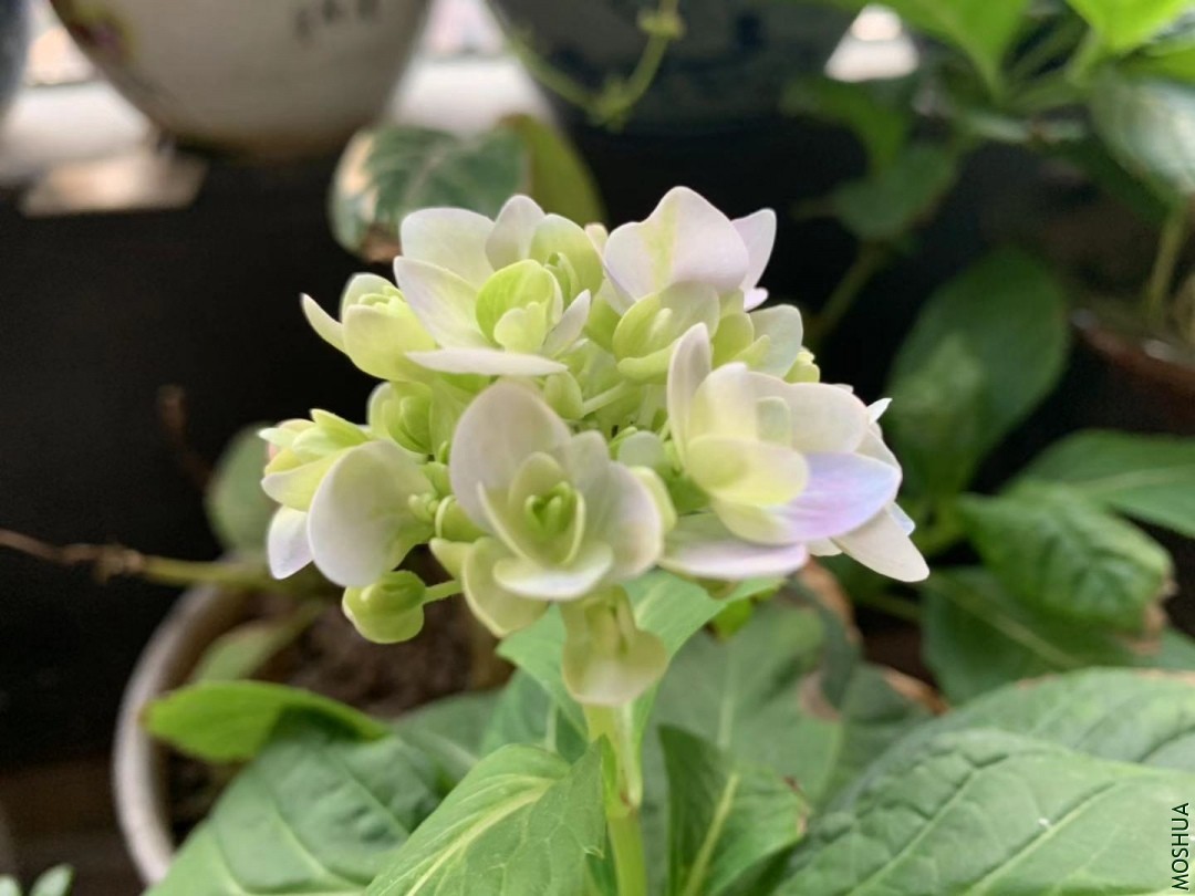 ΢��ͼƬ_20190929130950.jpg
