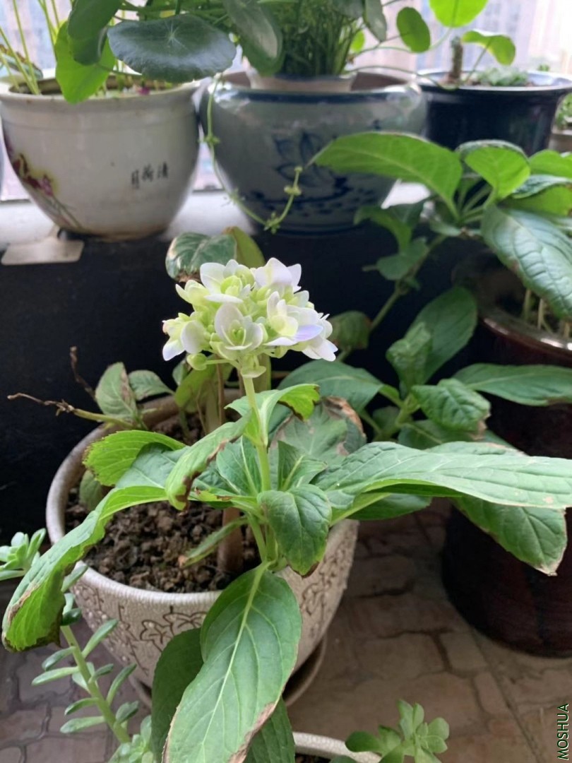 ΢��ͼƬ_20190929130954.jpg