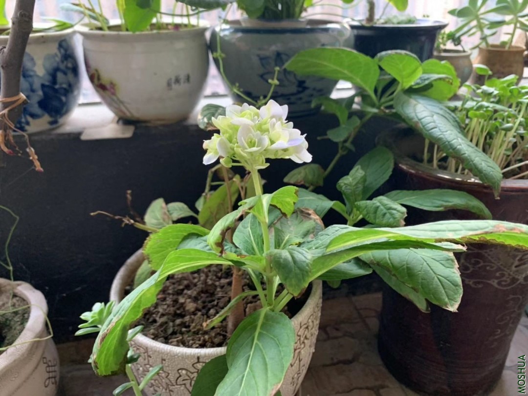 ΢��ͼƬ_20190929130957.jpg